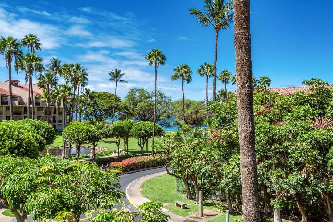 Photo of Others in Kihei