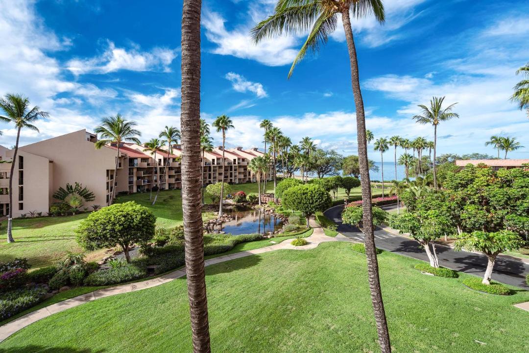 Photo of Others in Kihei