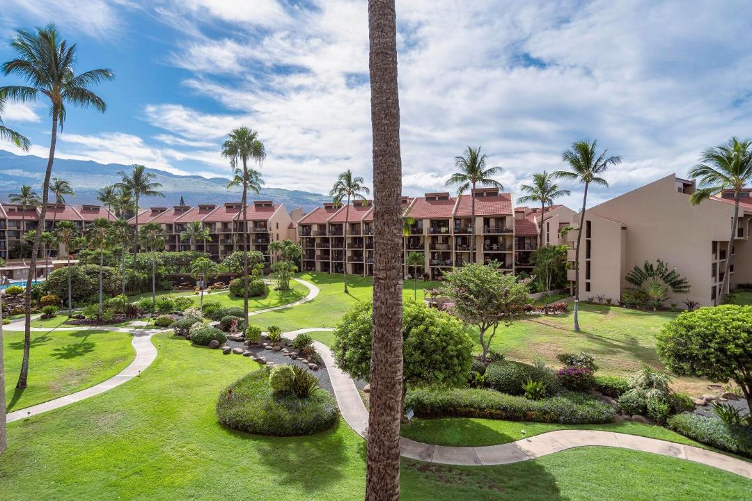Photo of Others in Kihei