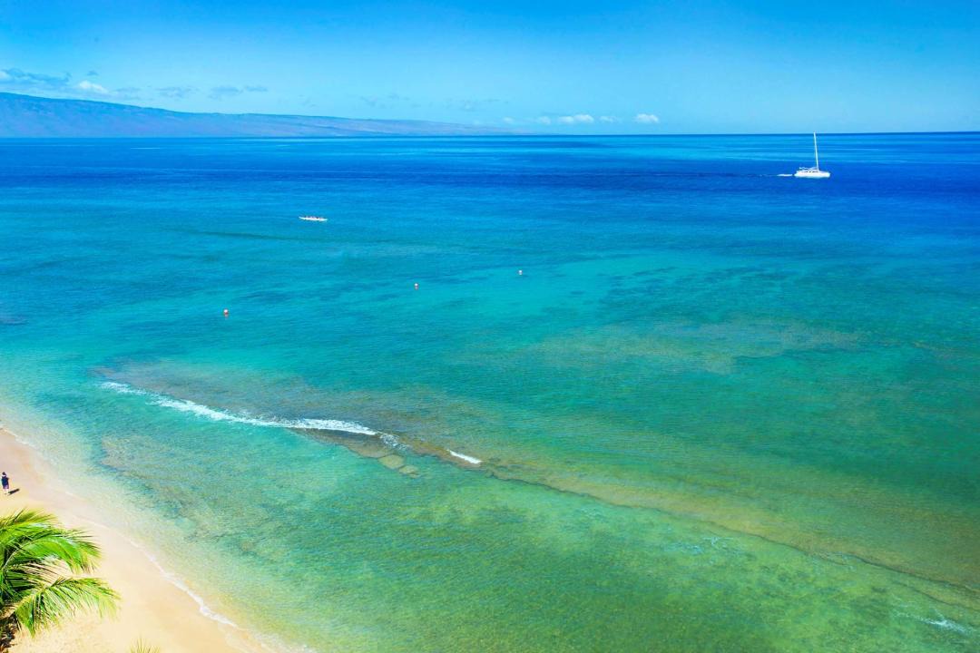 Photo of Others in Honokowai