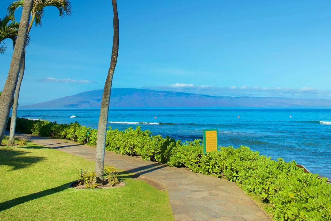 Photo of Others in Honokowai