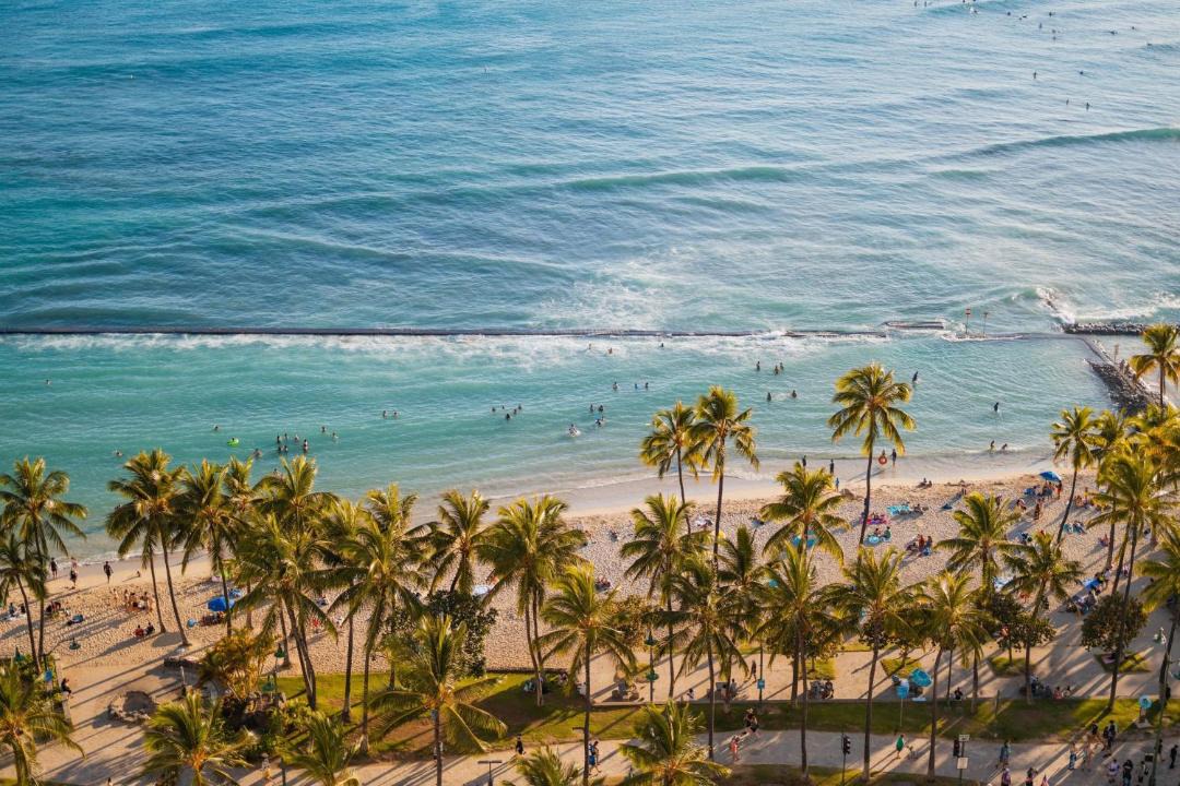 Photo of Others in Waikiki