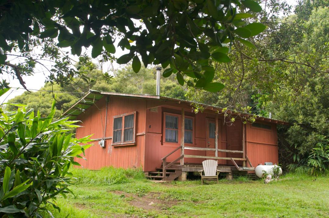 Photo of Others in Waimea