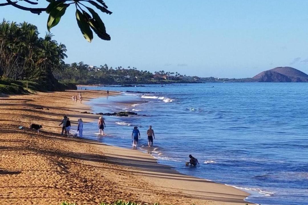 Photo of Outdoor in Kihei