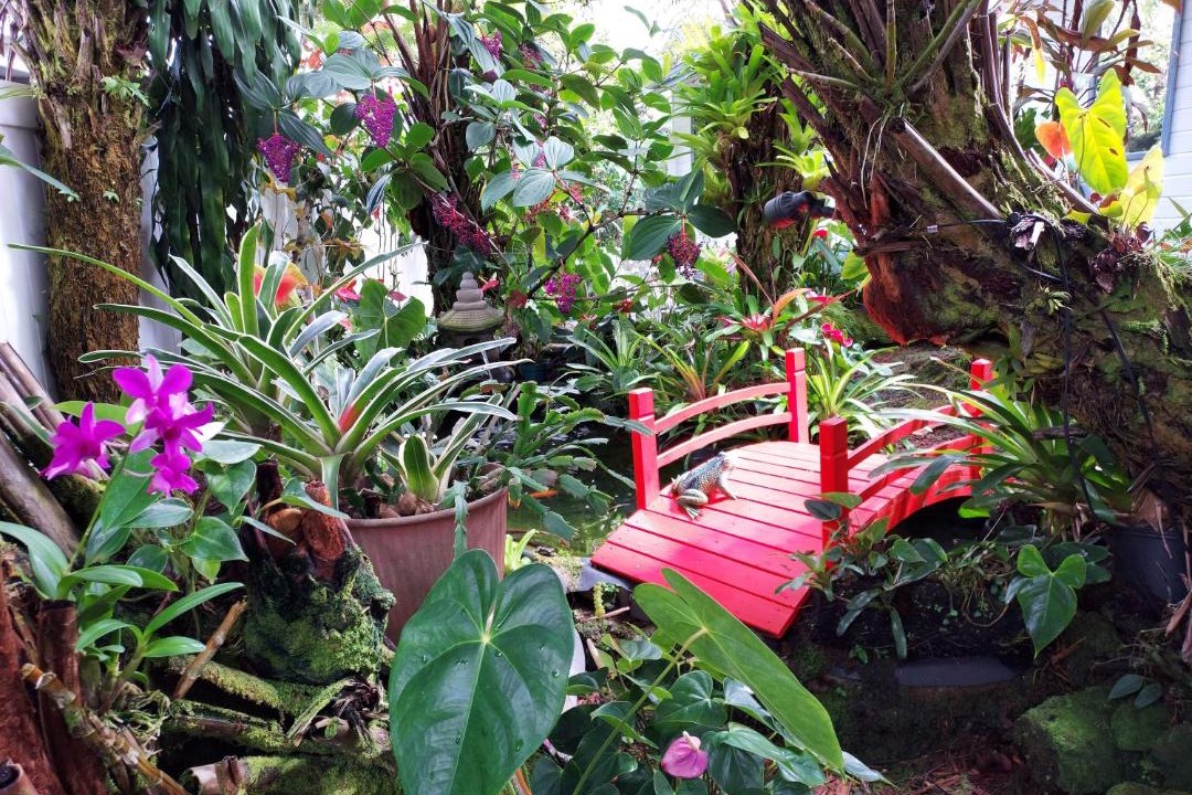 Photo of Others in Hilo