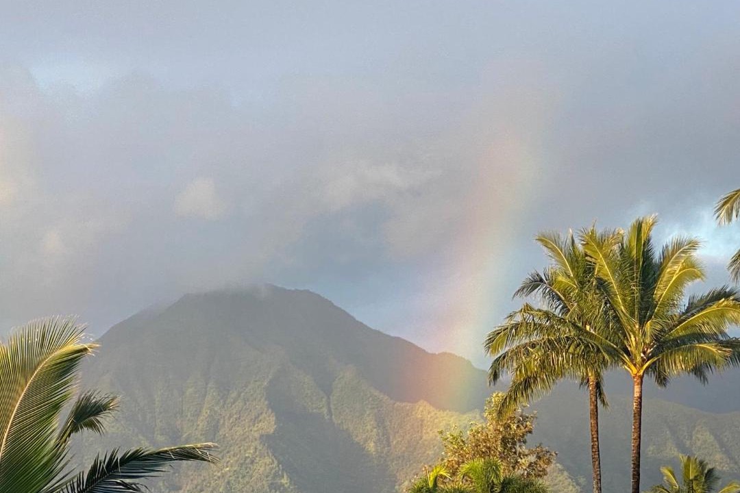 Photo of Outdoor in Princeville