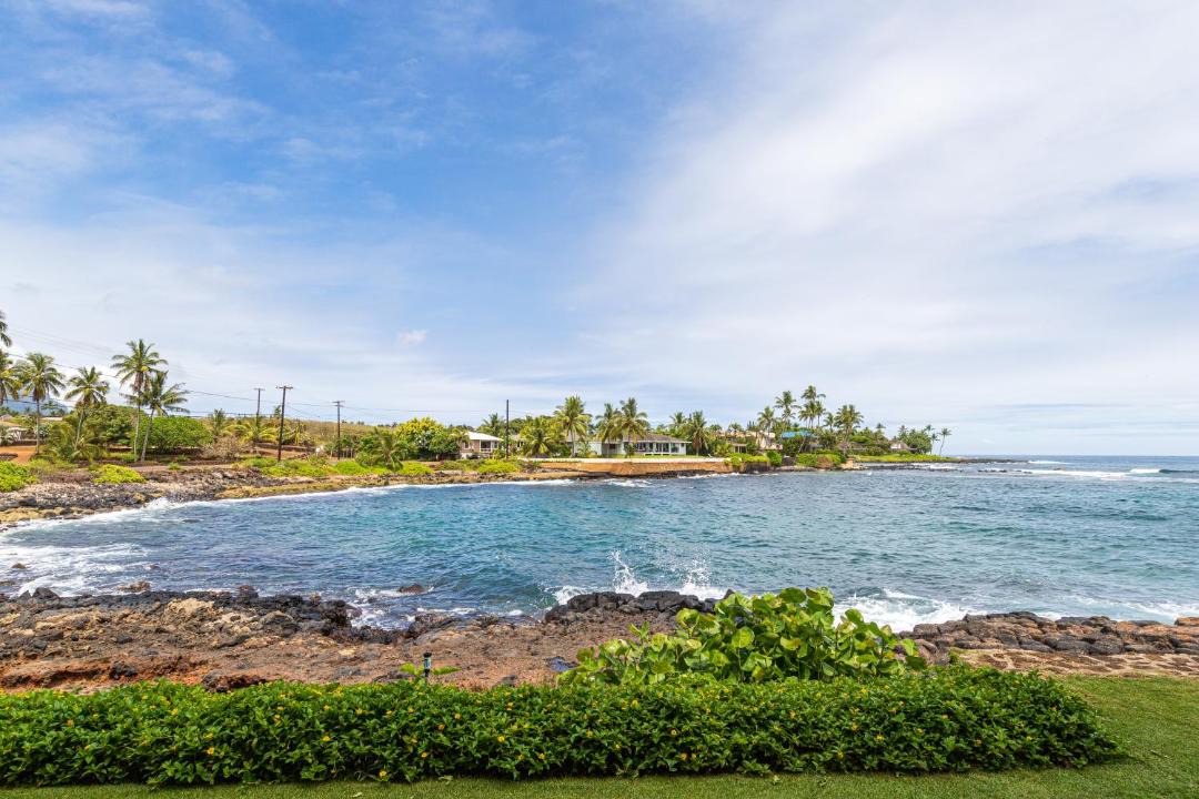 Photo of Others in Poipu