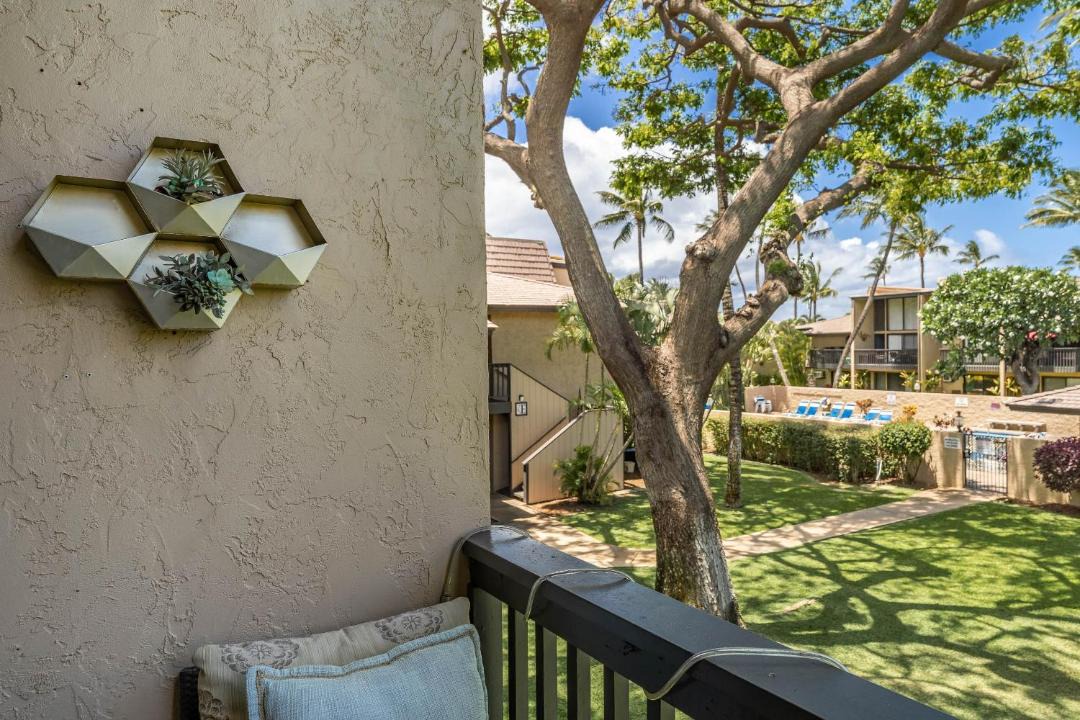 Photo of Others in Kihei