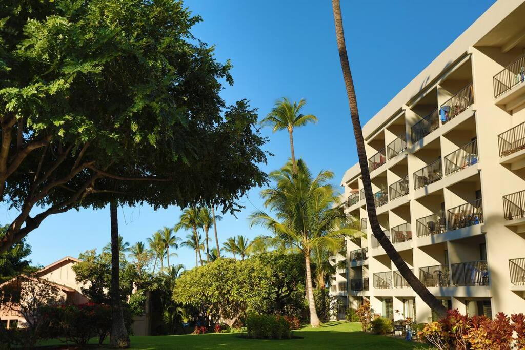 Photo of Others in Kihei