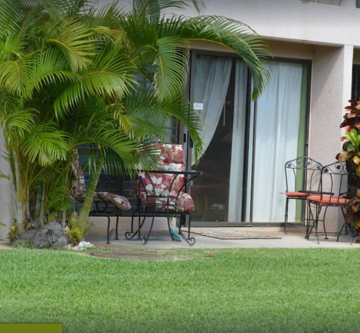 Photo of Others in Kihei