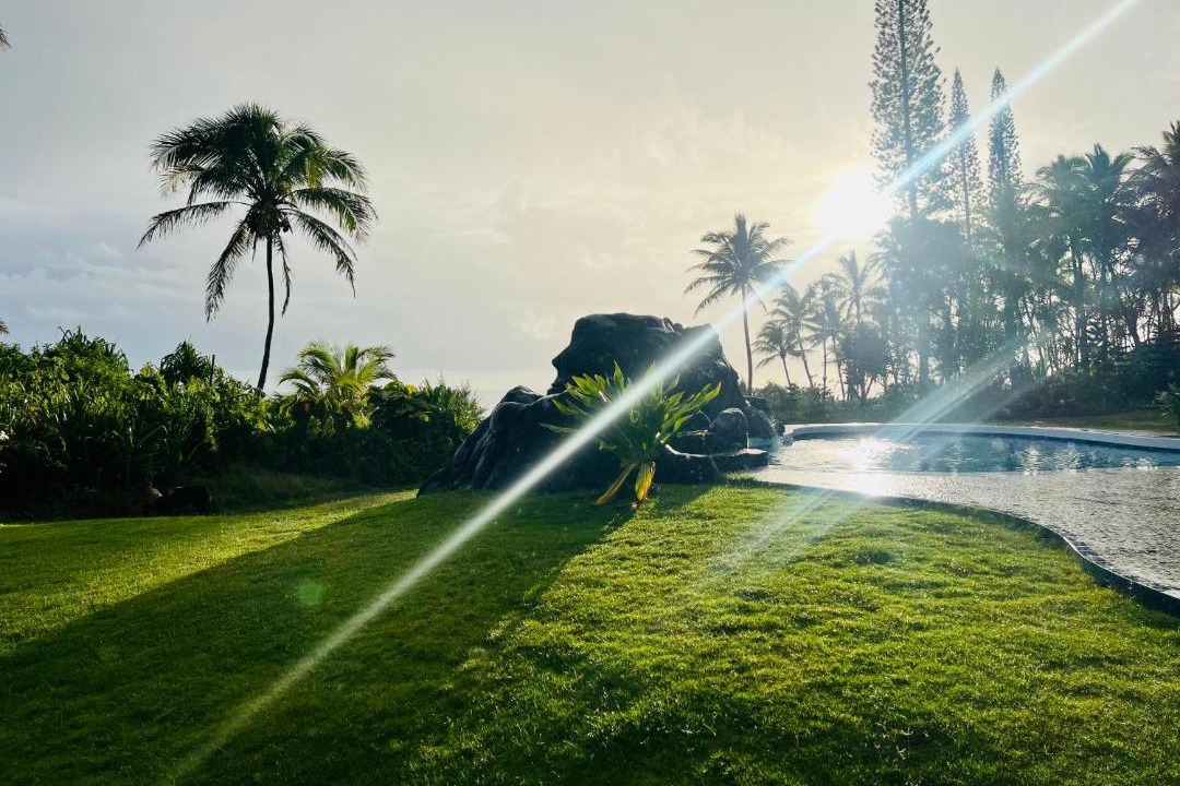 Photo of Others in Kapoho
