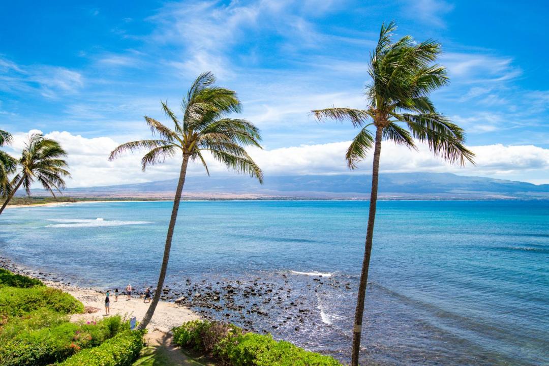 Photo of Others in Maalaea