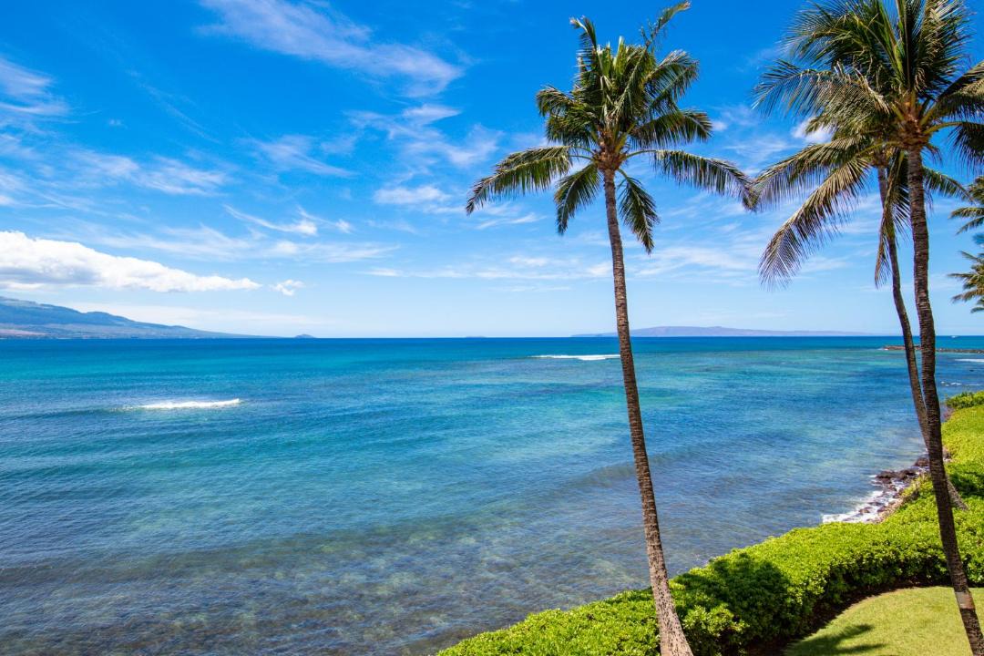 Photo of Others in Maalaea
