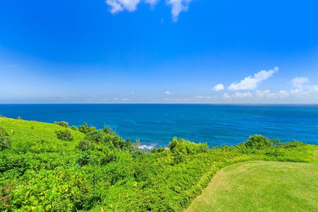 Photo of Others in Princeville