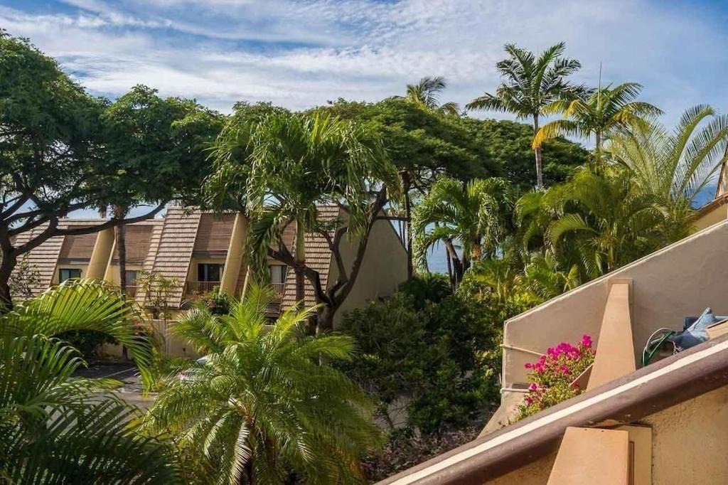 Photo of Others in Kihei