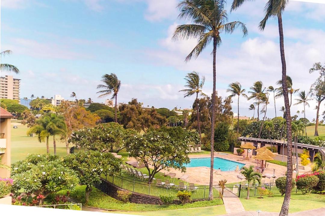 Photo of Others in Kaanapali