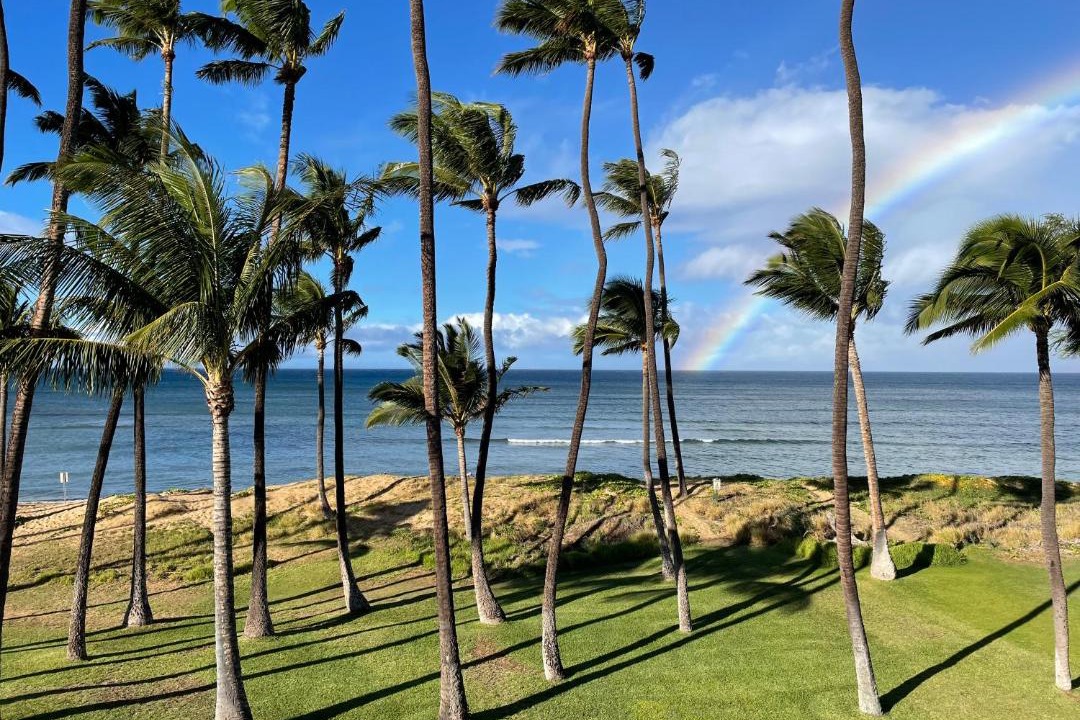 Photo of Others in Kihei