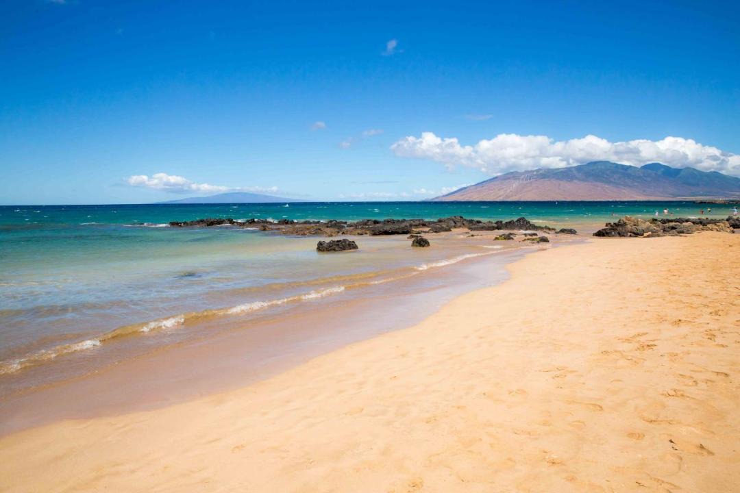 Photo of Others in Kihei