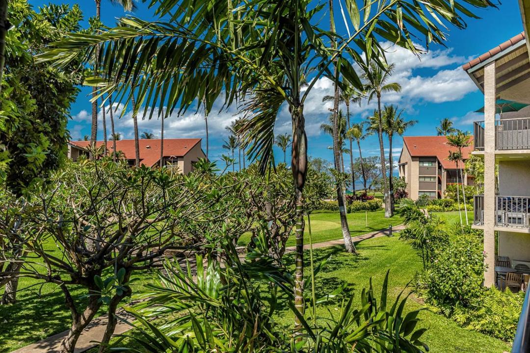 Photo of Others in Kihei