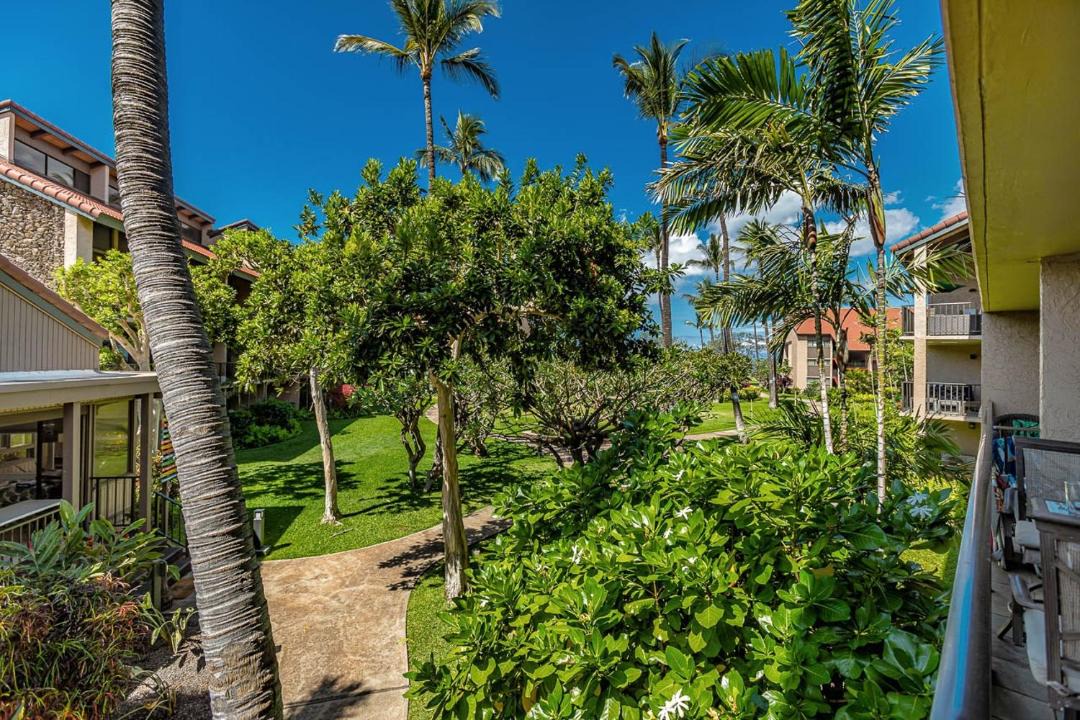 Photo of Others in Kihei