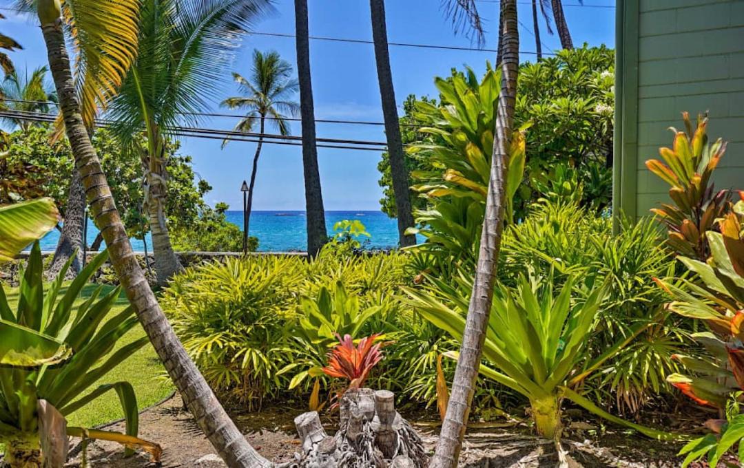 Photo of Others in Historic Kailua Village