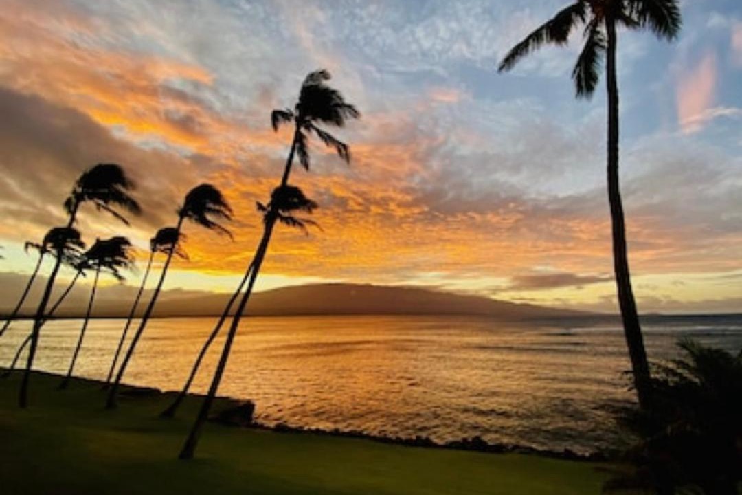 Photo of Others in Maalaea