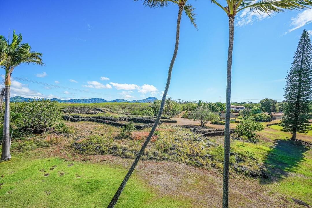 Photo of Others in Poipu