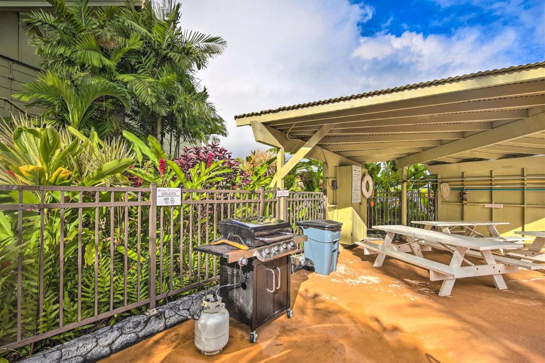 Photo of Others in Wailua