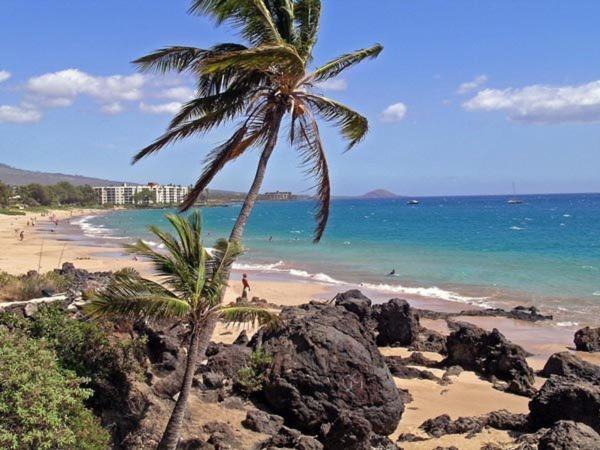 Photo of Others in Kihei