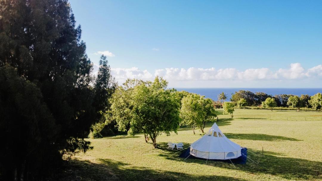 Photo of Outdoor in Hawi