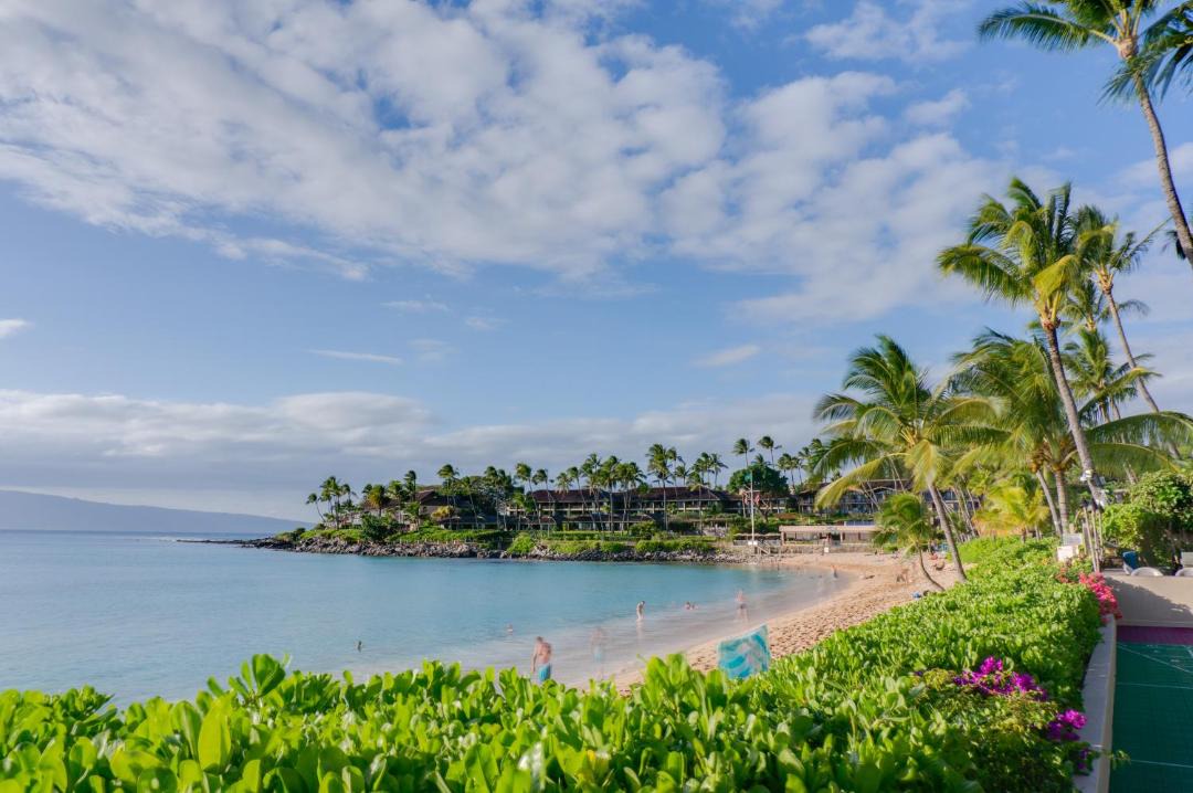 Photo of Others in Napili