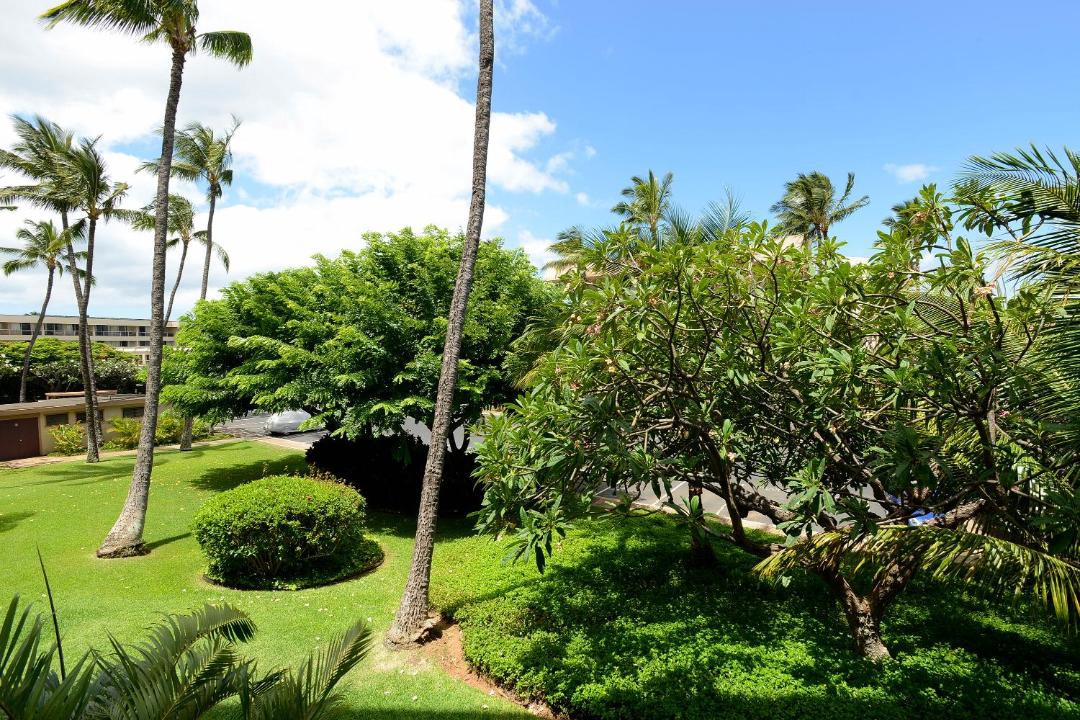 Photo of Others in Kihei