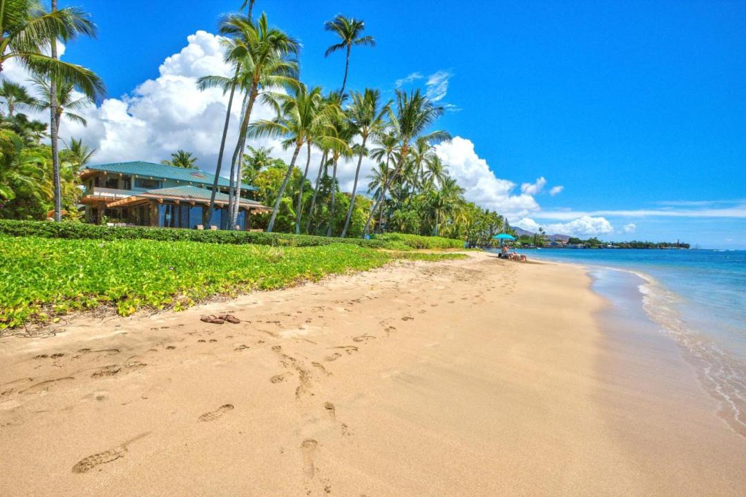 Photo of Others in Historic Lahaina Front Street