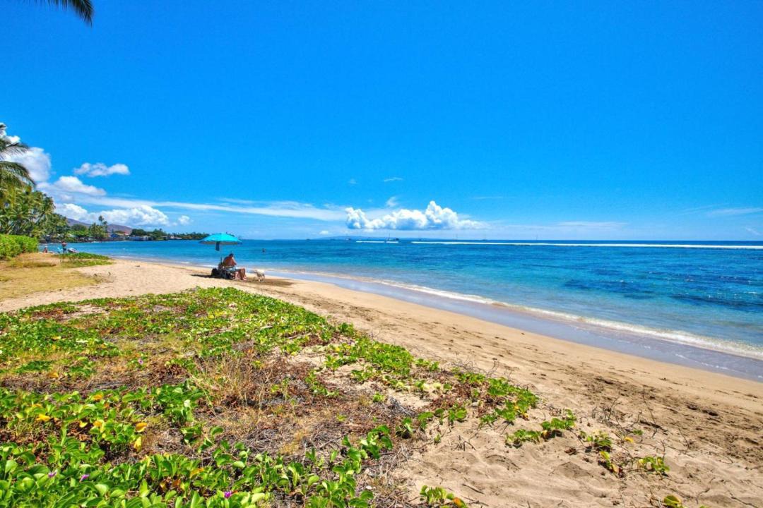 Photo of Outdoor in Historic Lahaina Front Street