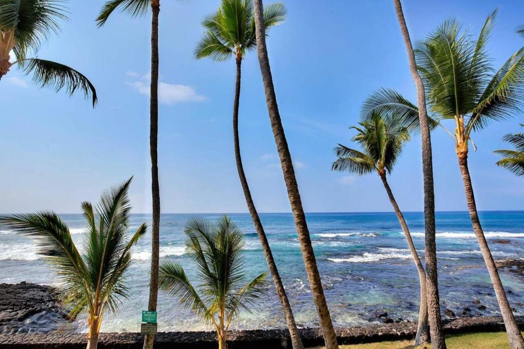 Photo of Others in Kailua-Kona
