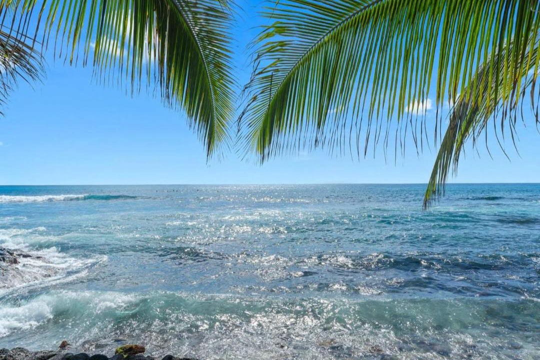 Photo of Others in Kailua-Kona