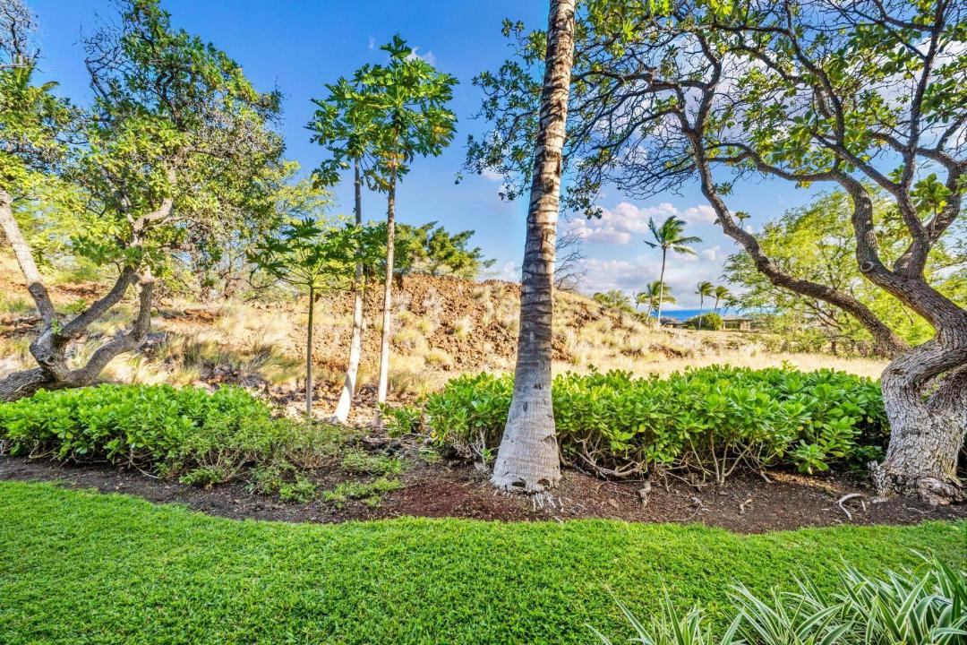 Photo of Outdoor in Kamuela
