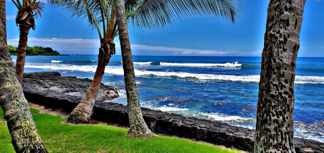 Photo of Others in Kailua-Kona
