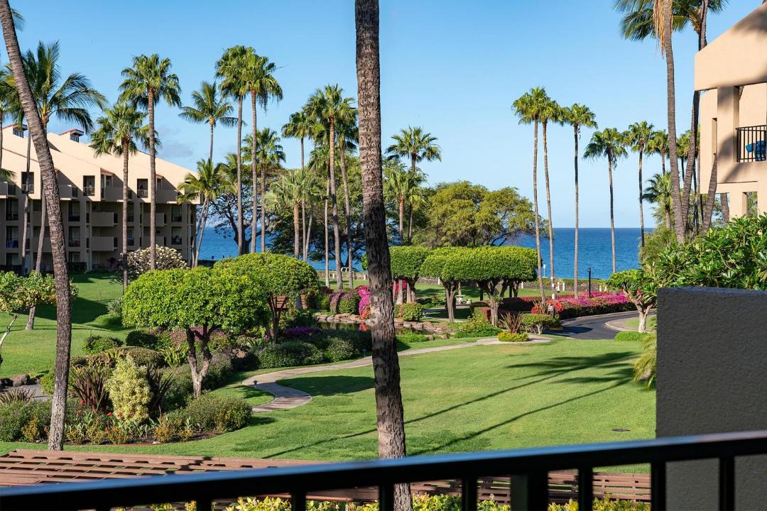 Photo of Others in Kihei