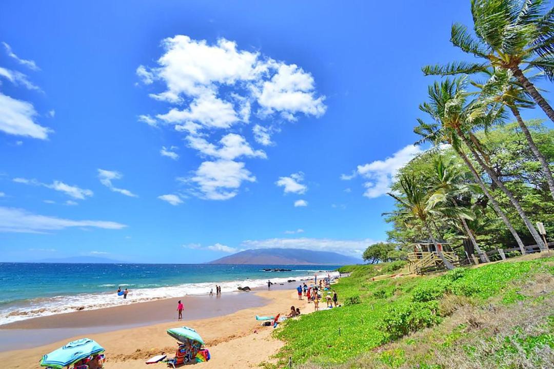 Photo of Others in Kihei