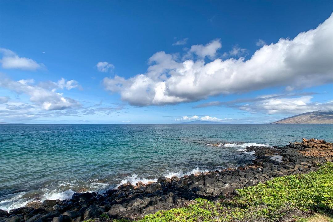 Photo of Others in Kihei