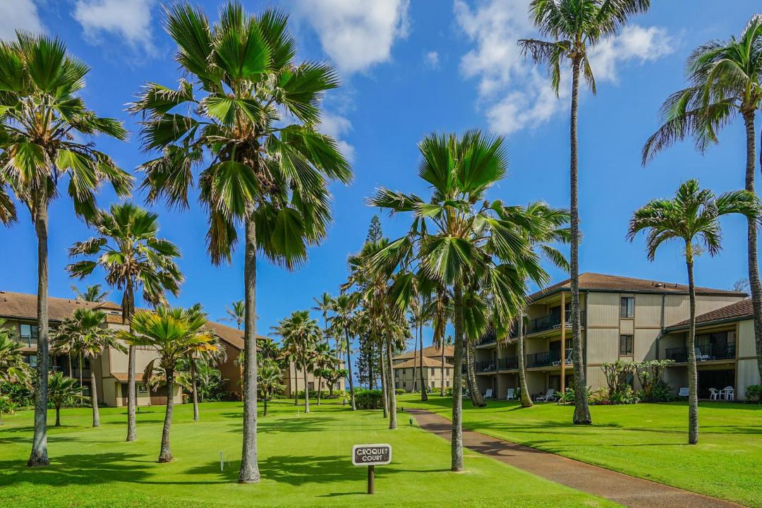 Photo of Others in Kapaa