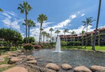 Photo of Others in Kihei