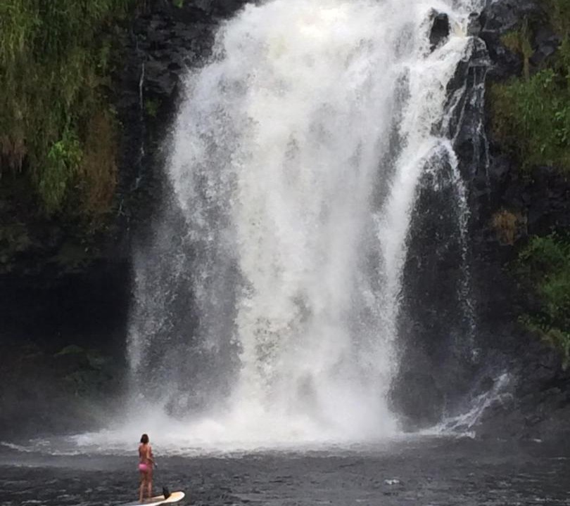 Photo of Others in Hilo