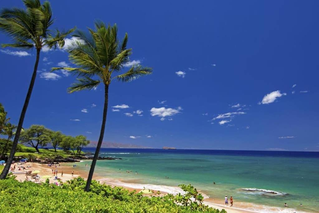 Photo of Others in Kihei