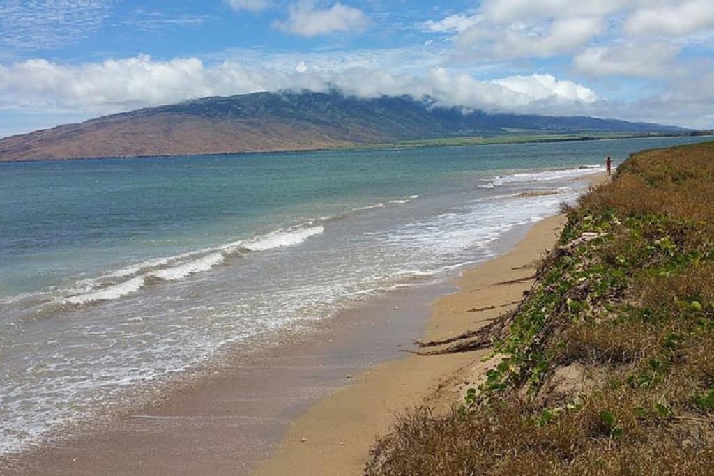 Photo of Others in Kihei
