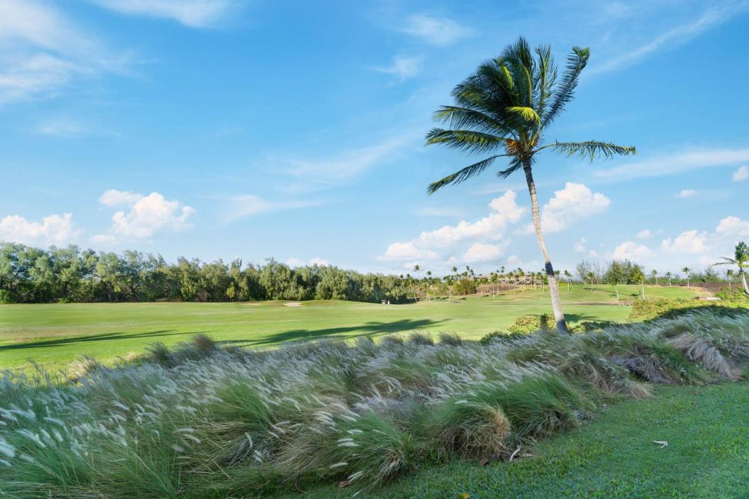 Photo of Outdoor in Waikoloa