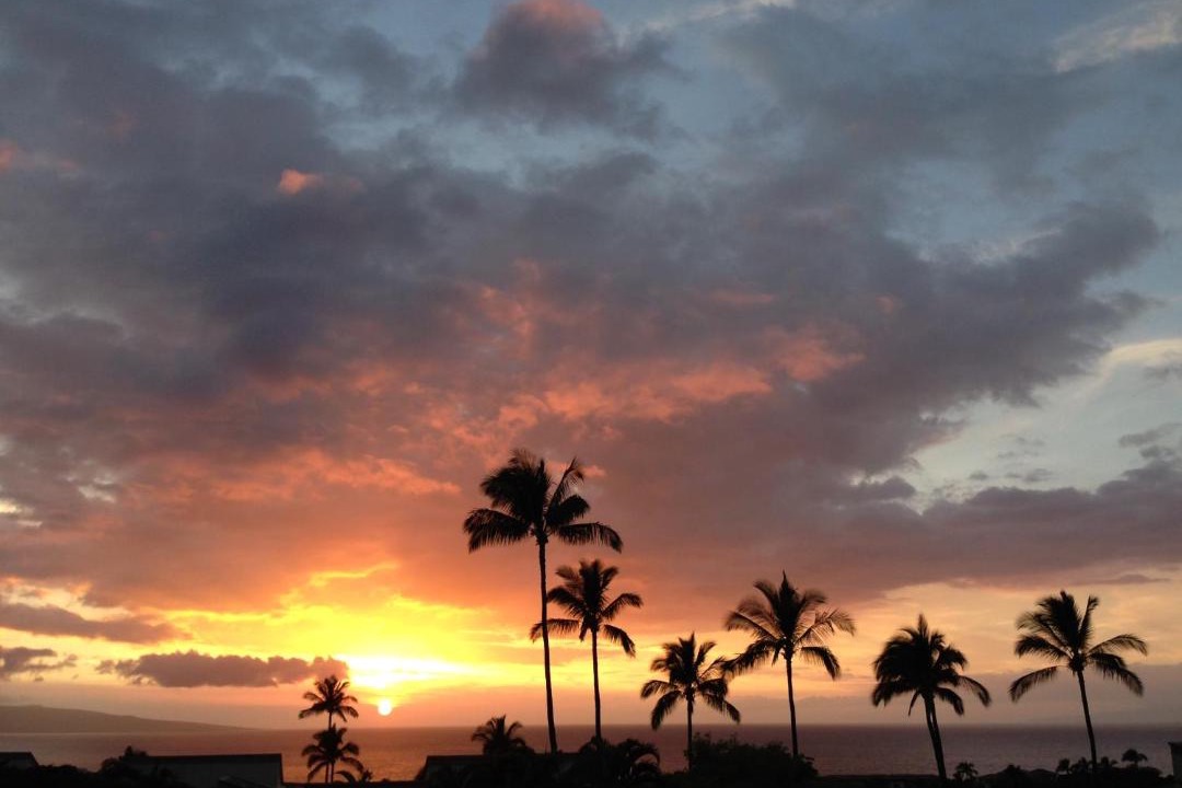 Photo of Others in Wailea