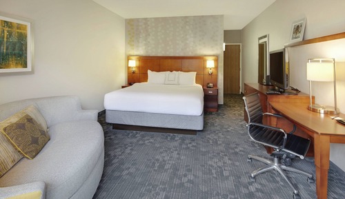 Room, 1 King Bed with Sofa bed, Hearing Accessible (Roll-in Shower)