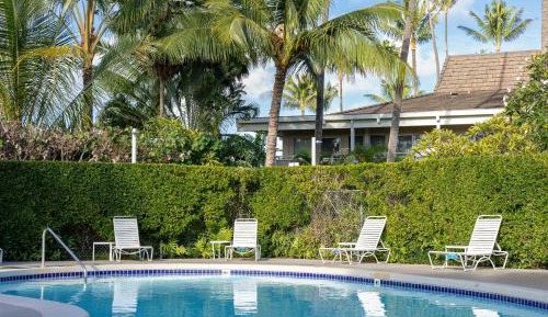 Pool View One Bedroom Suite 1 King Bed with Sofa Bed